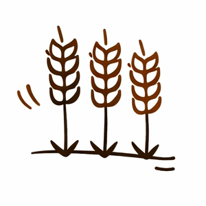 Novostavba bílého činžovního domu s balkony z výkupu nemovitostí